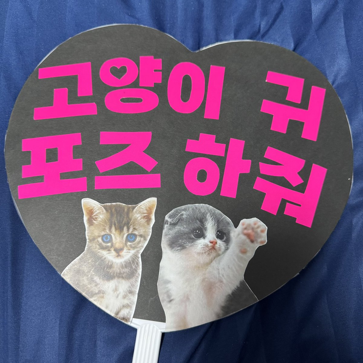 _Chii1209's tweet photo. 猫耳ポーズもお見送り会の時に
頂きました🐱💗💗💗
笑顔でしてくれて可愛いすぎだよ。キュン死
猫耳ポーズのオンニ目に焼き付けた🫶🏻
本日のパワーワード "분위기"
(雰囲気)
🌙
#ParkMinYoung #hellomybeans #パクミニョン #박민영 #コンアル https://t.co/psAvjH0nRl
