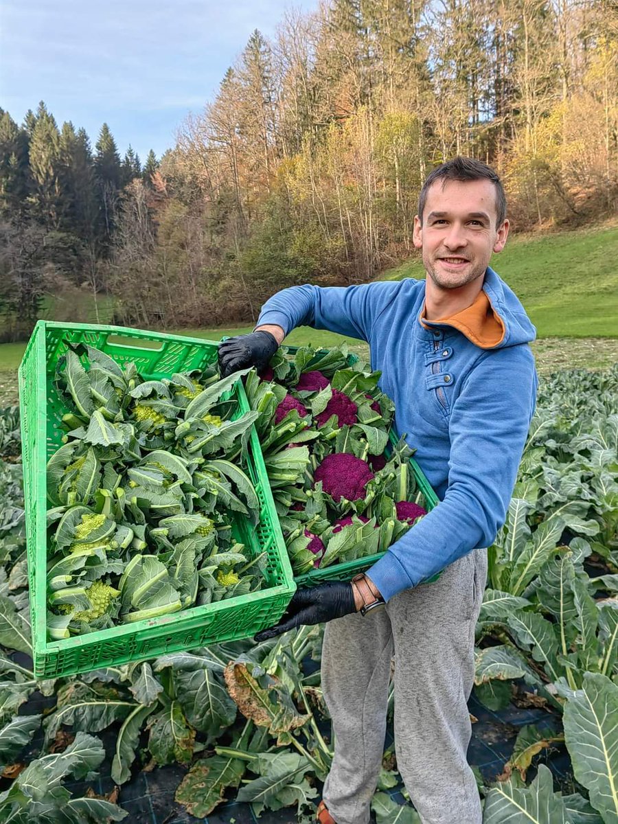 jesenska disko kolekcija

#zelenjavajezakon