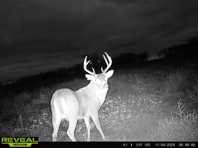 Uni Buck (@UniBuck1) / Posts / X