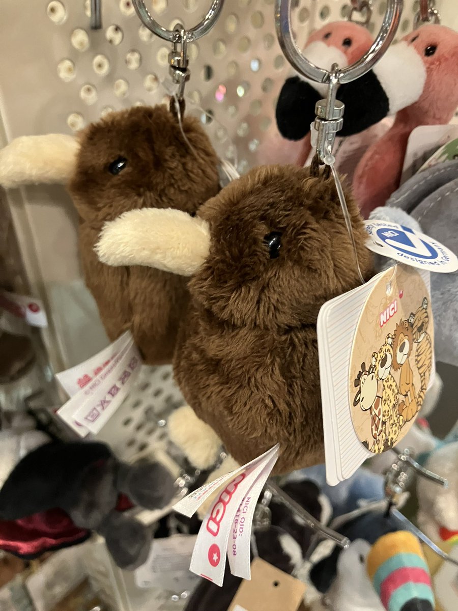 キウイ台湾紀行 NICIというドイツ生まれのぬいぐるみなんだけど、なぜ