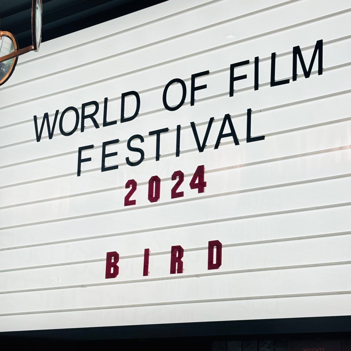 Hillhead Languages tweet media