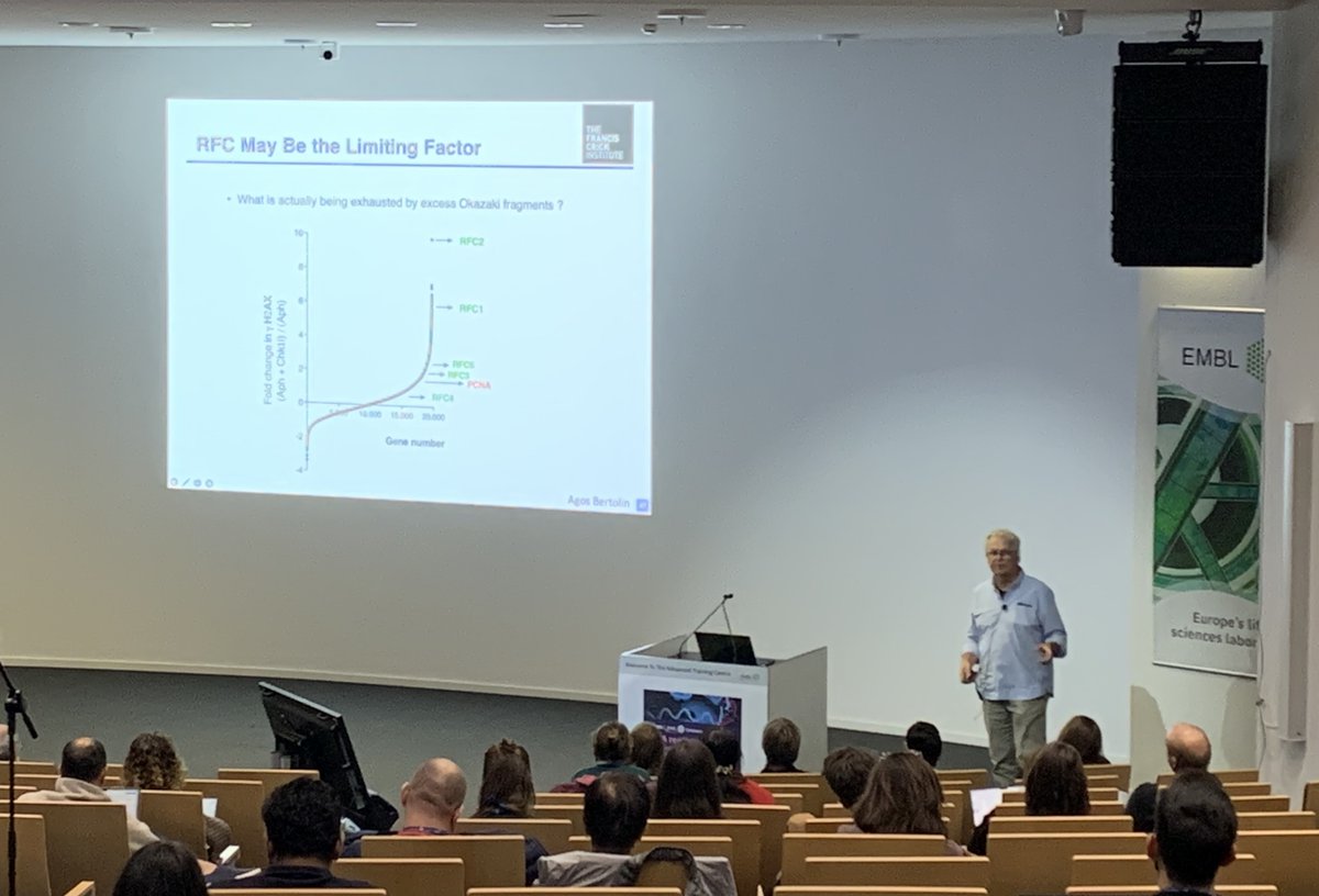 EMBLEvents's tweet image. 🕐Last day of #EESReplication 📆
The symposium was wrapped up with the keynote lecture by John Diffley, closing remarks by Thanos Halazonetis and the poster prize announcement by Helle Ulrich 🏆
Stay tuned to find out more about the 3 poster prize winners and when there will be a