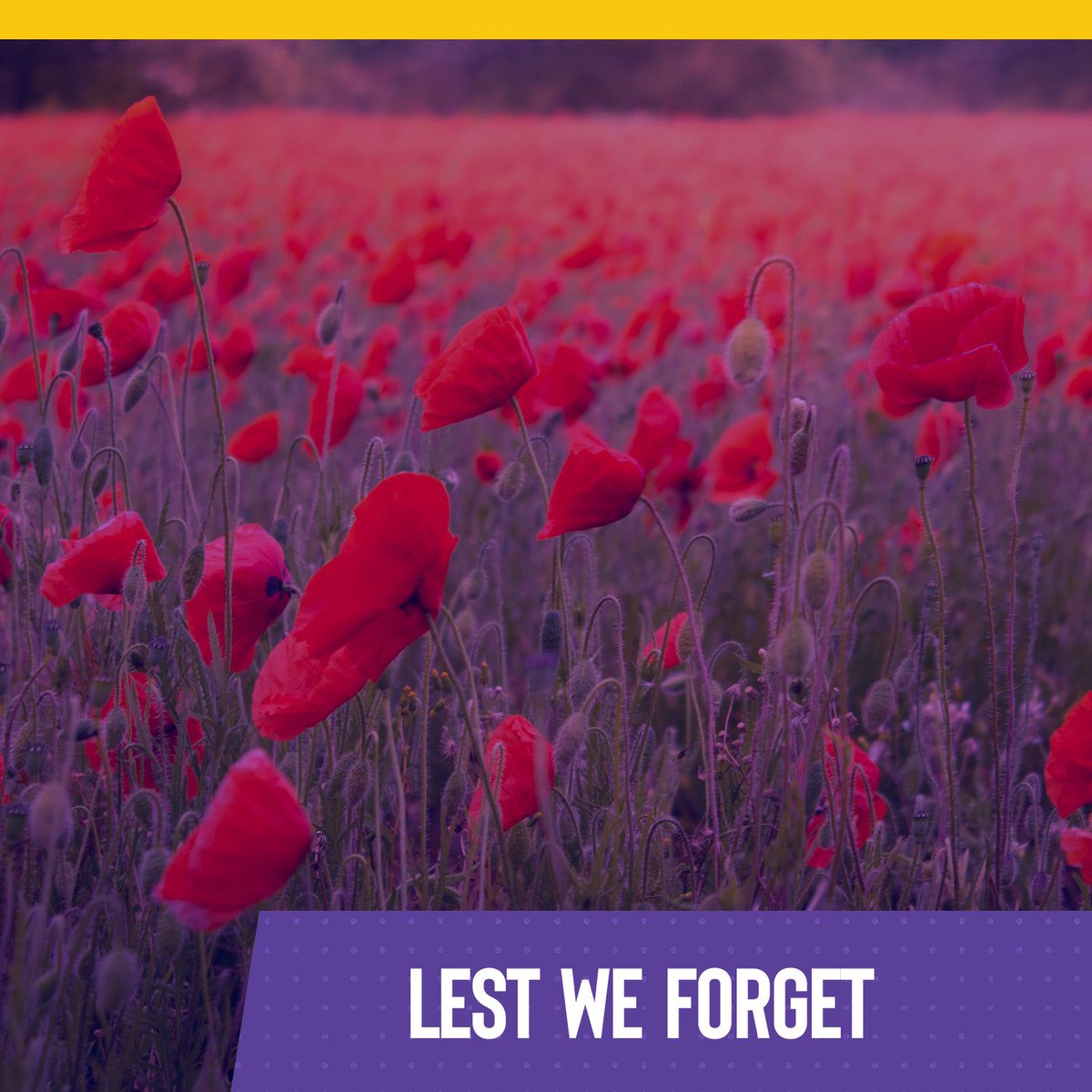 Honouring Our Heroes 💜🎖️​
​
We're proud to play our part in keeping our modern roads safe, but they may not even be our roads without the enormous sacrifices our forefathers made. ​
​
Lest we forget what they did for us all 🥀