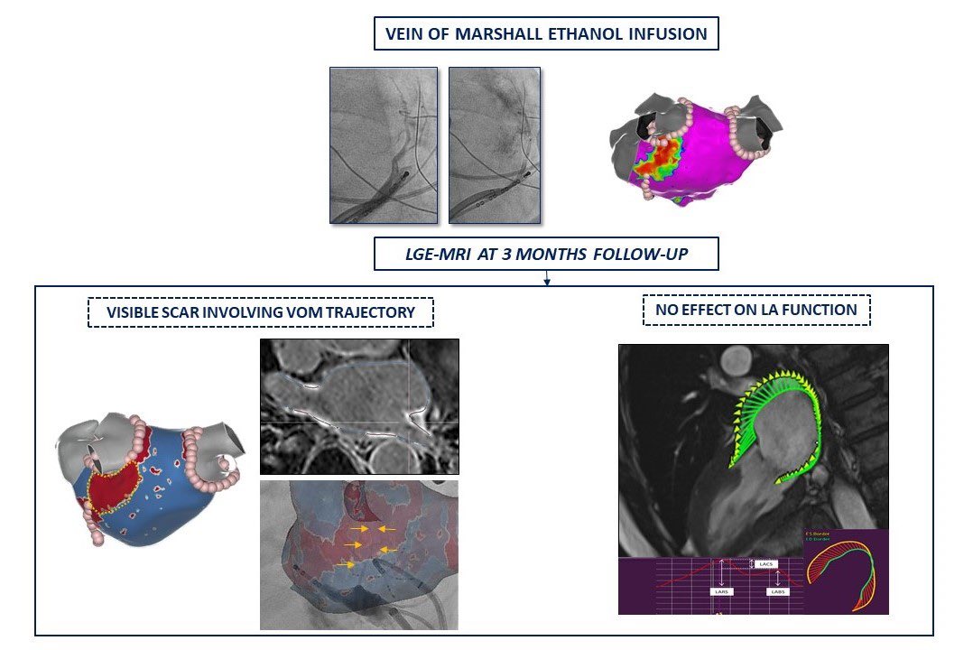 Julia Aranyó tweet media
