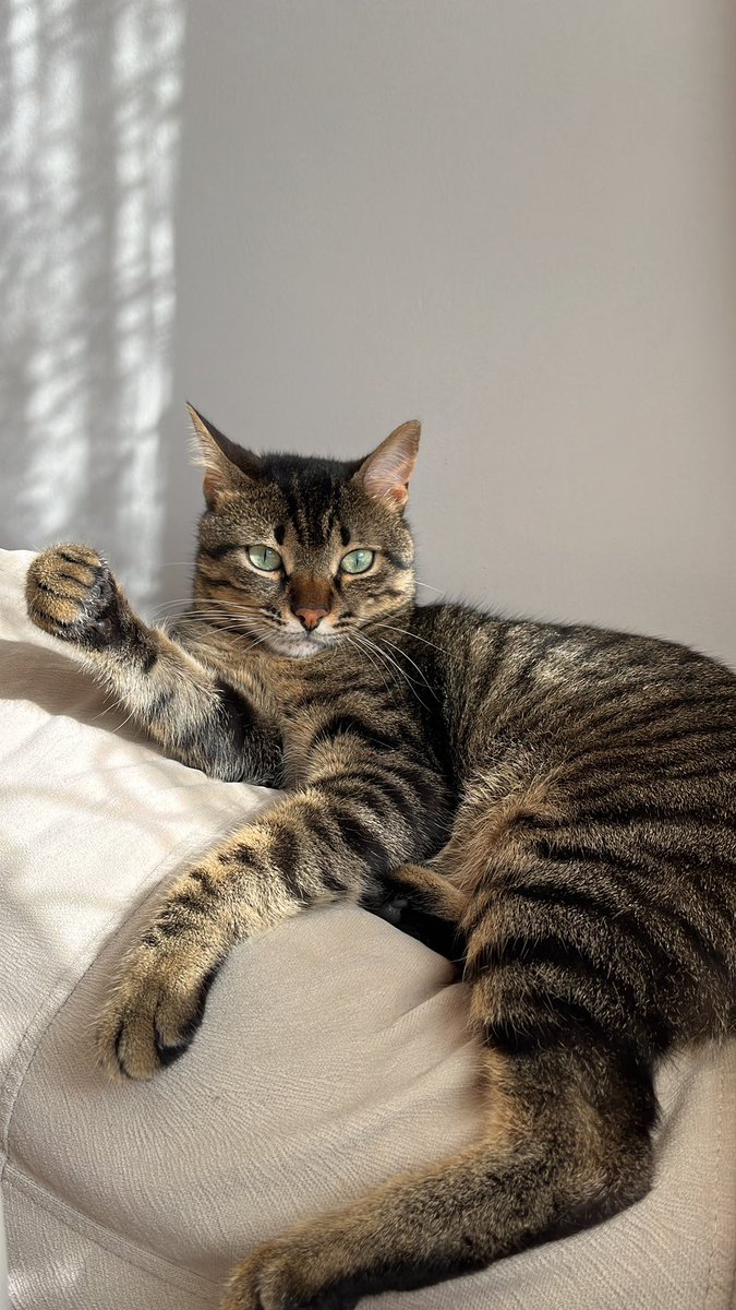 furkan777 (@fufuesp777) on Twitter photo 