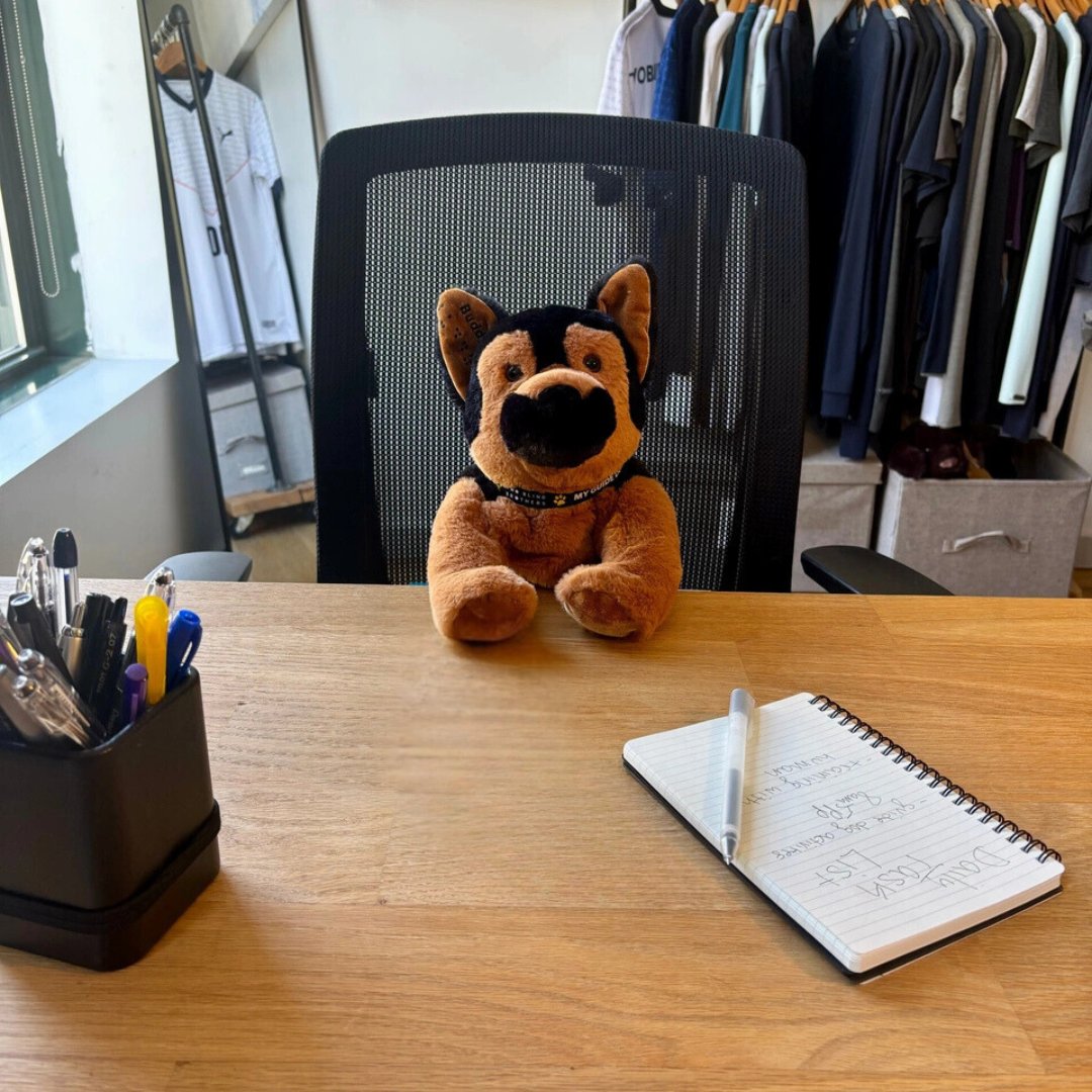 Working hard or hardly working? 

#workinghard #hardlyworking #100percentofprofits #guidedog #plushie