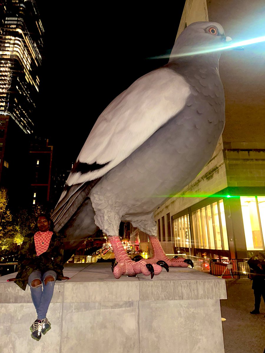 Starbronx718's tweet photo. A trip to see the big pigeon https://t.co/6sCf0DX0if