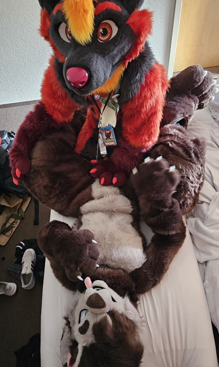 "A little afternoon cuddle at the glc. Wanna guess what happened afterwards?😏"

With: <a href="/KabameTheHusky/">Kabame</a>

#furry #furries #furryfandom #fursuit #fursuiter #FursuitFriday