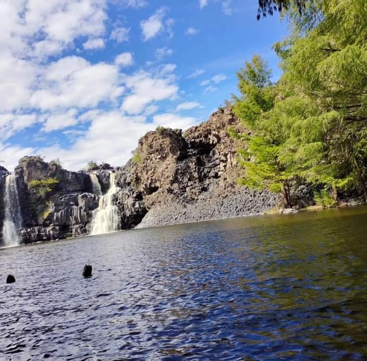 luisriosdgo's tweet photo. NOMBRE DE DIOS DURANGO #pueblomagico
Cascadas de El Saltito.
📷 Nancy Vázquez. https://t.co/1bcSUNgq96