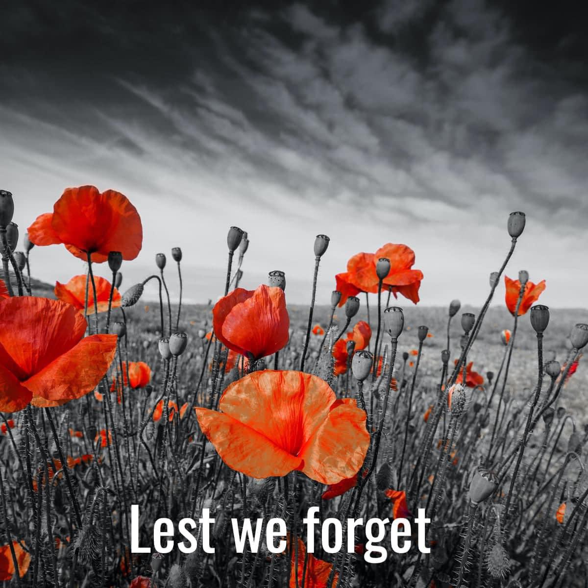 We Will Remember Them This Weekend

#remembranceday #lestweforget #remembrance #poppy #poppies #ww #remembrancesunday #wewillrememberthem #veterans  #poppyappeal #armisticeday #worldwar #november #neverforget #veteransday #royalbritishlegion #armistice