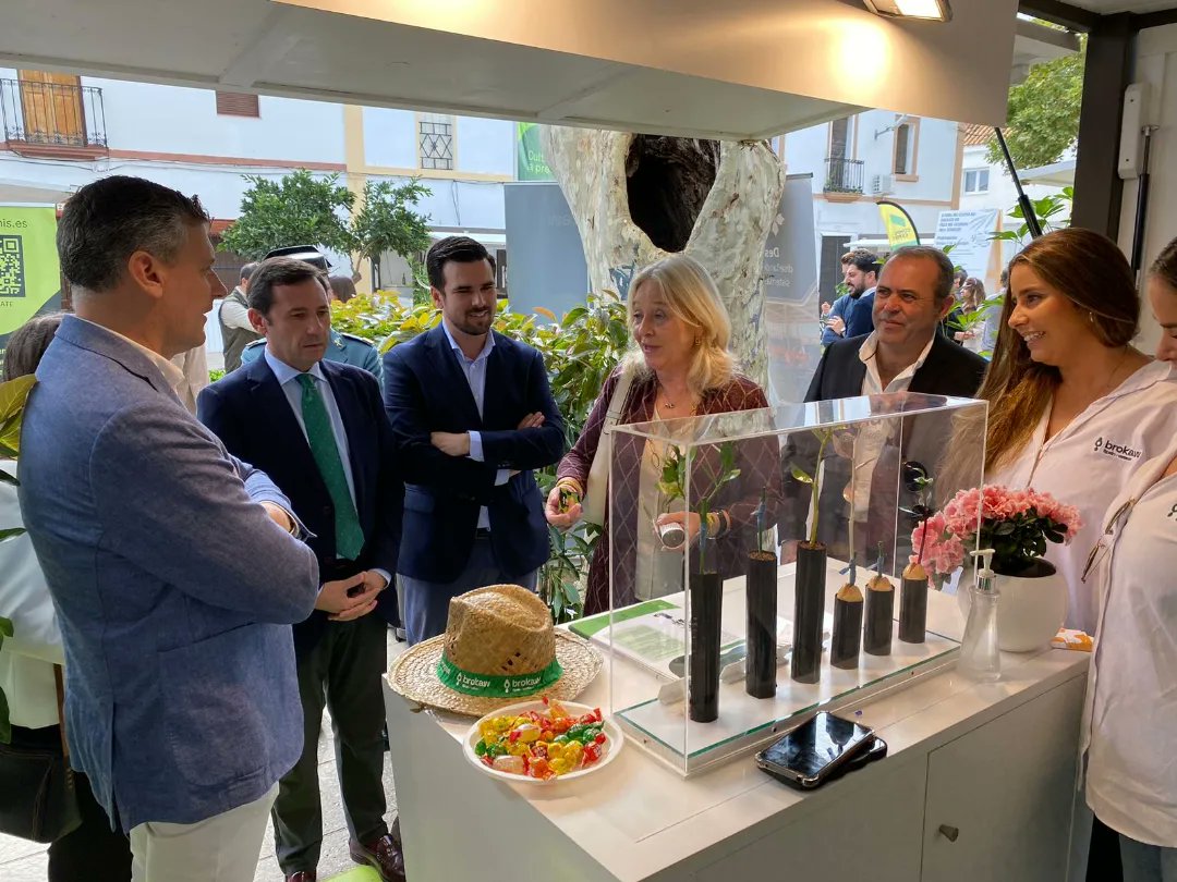 Junta Campo de Gibraltar tweet media