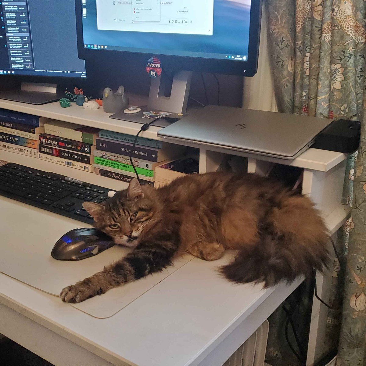 We're still here but probably not posting much; activity is over on bsky and insta. Links in linktree, cat for attention.