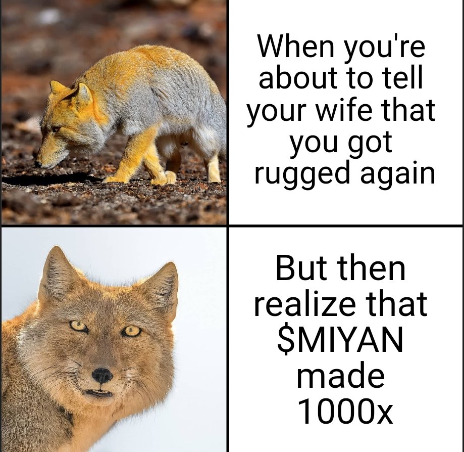Matt_crypto_'s tweet photo. @thisisdjen $MIYAN is the one that you should check out. 200k Mcap, team is active 24/7 and community is growing day by day. 

https://t.co/AEtSqzqonq https://t.co/BqN84uqjdH