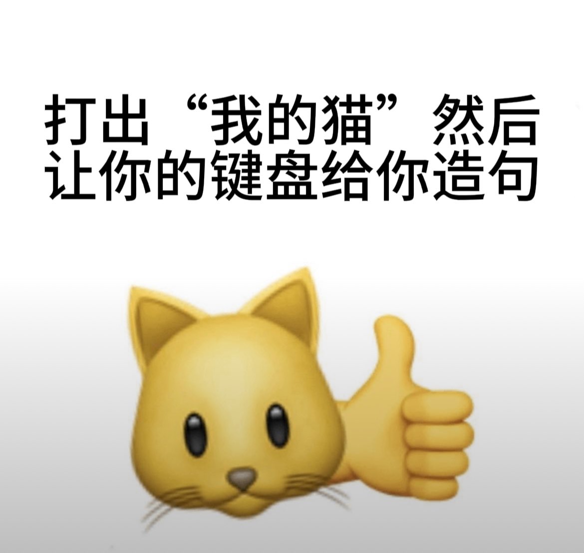 シャウ・司 tweet media