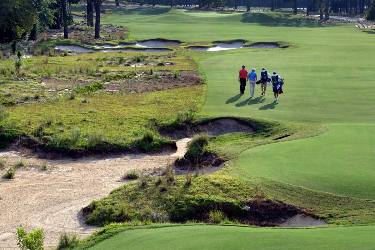 Pinehurst Resort tweet media