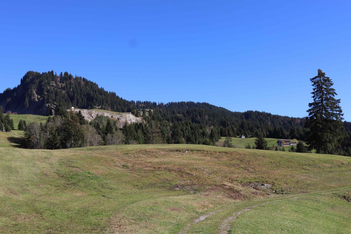 Tilted houses and tree due to continuous #creeping since centuries in #Sibratsgfäll #Rindberg #Austria.
A major phase of #landslide activity in May 1999 occurred after presistent 2-week long #rainfall with rates of #downlsope movement of up to 10 m per day!