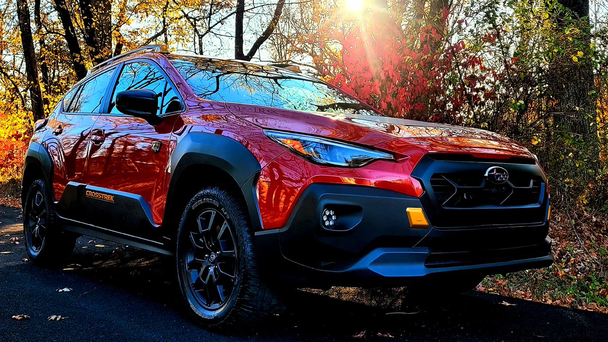 OneOceanTen 🐙 Back On Twitch! tweet media