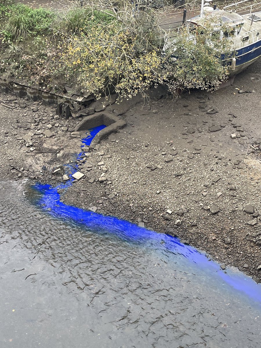 annie rushton tweet media