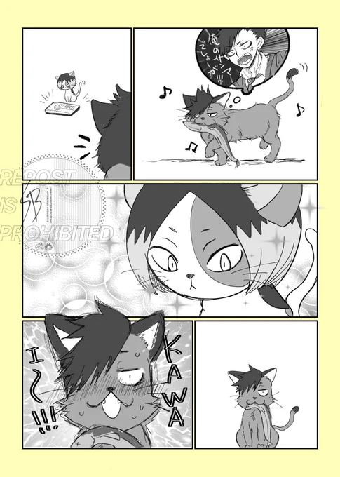 クロ~ネコ🐟🐈‍⬛とケマネコ📱🐈

(黒研脳) 