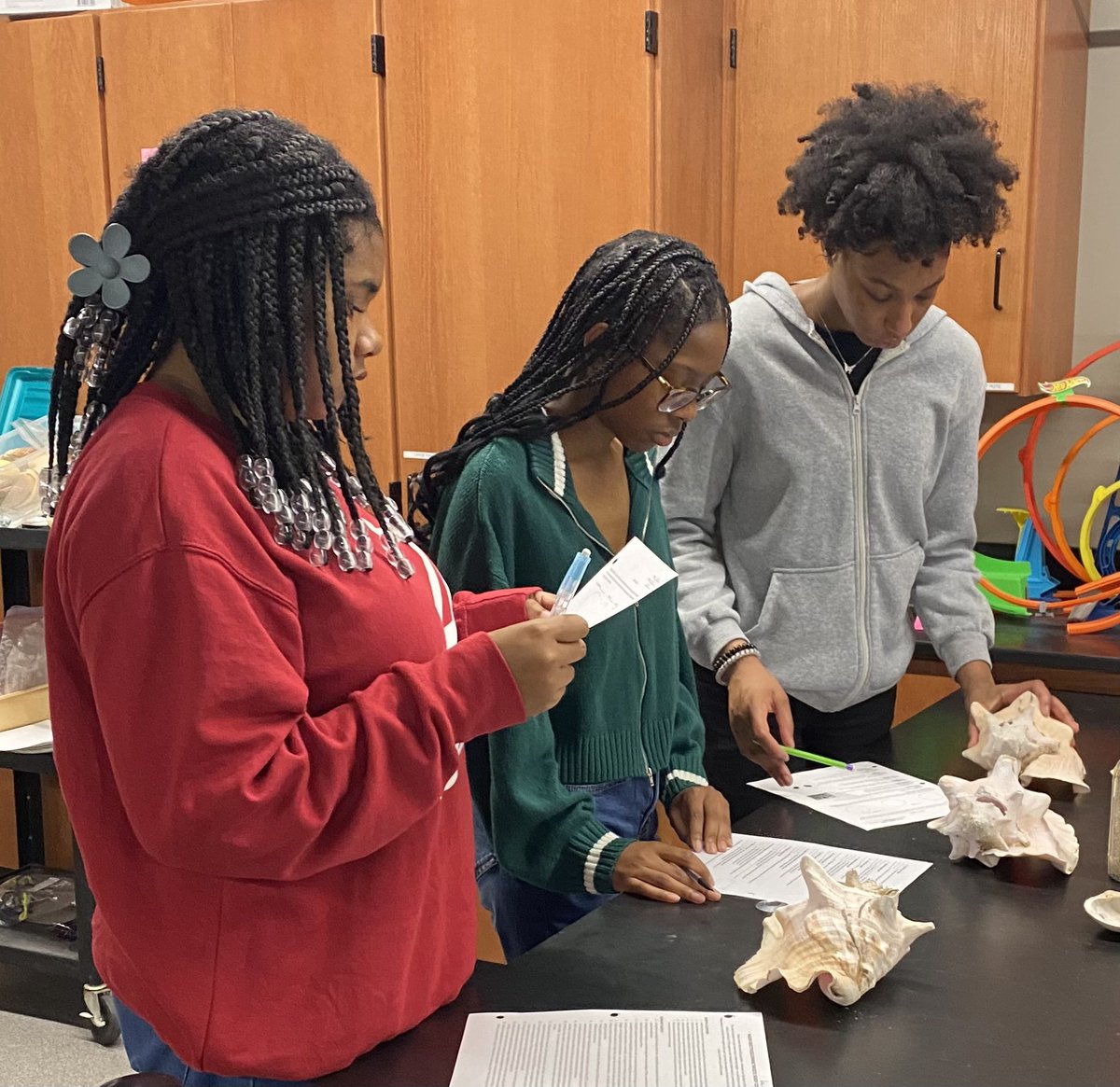 Identifying sandy beach organisms in marine bio - it’s a beach in a box (without the water)!