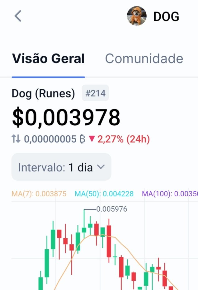 Lucas G3 🧡 $DOG tweet media