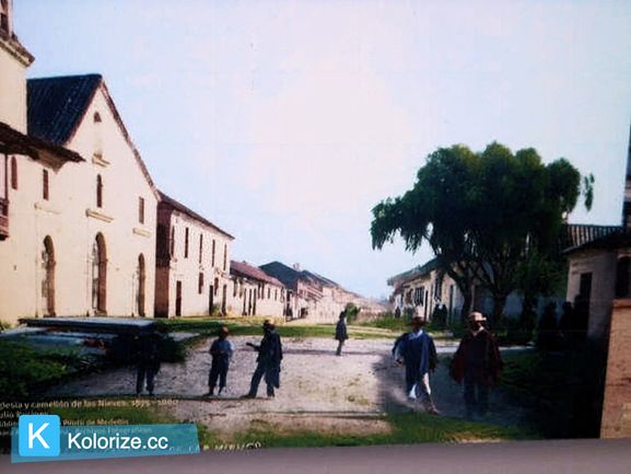 Kolorize tweet media