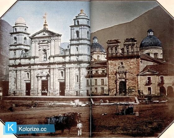 Kolorize tweet media