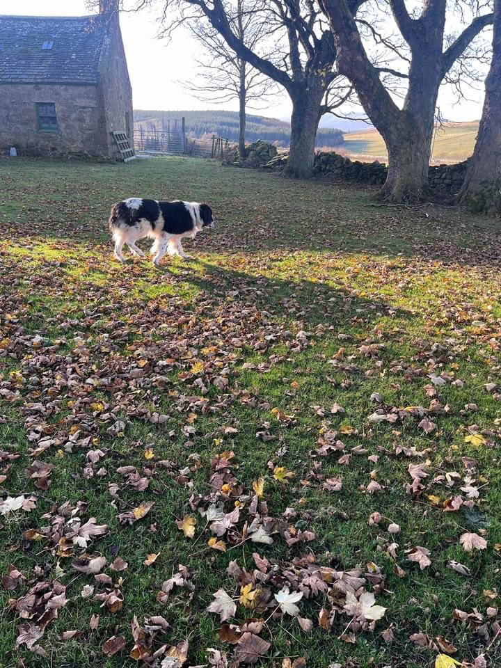 Adrian Tilsed tweet media