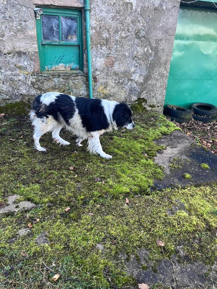 Adrian Tilsed tweet media