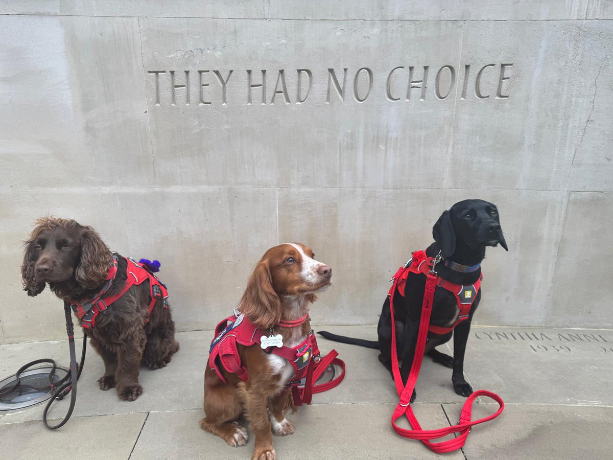 Some of our Veterans and their assistance dogs visited the Animals in War Memorial in Hyde Park today. 

They laid a wreath in honour of the many animals that gave their lives in war - they had no choice, but we will remember them!
