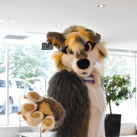 Thought I'd repost and pin this incase you did not see it.

Planned cons for 2025 : 
Anthrocon 
CanFURence 
Ottawa Comic Con

See you all next year at Anthrocon 2025!

#FursuitFriday