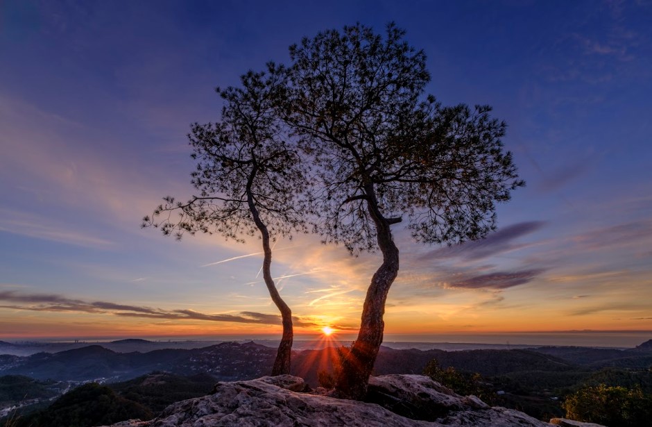 Fujifilm España tweet media