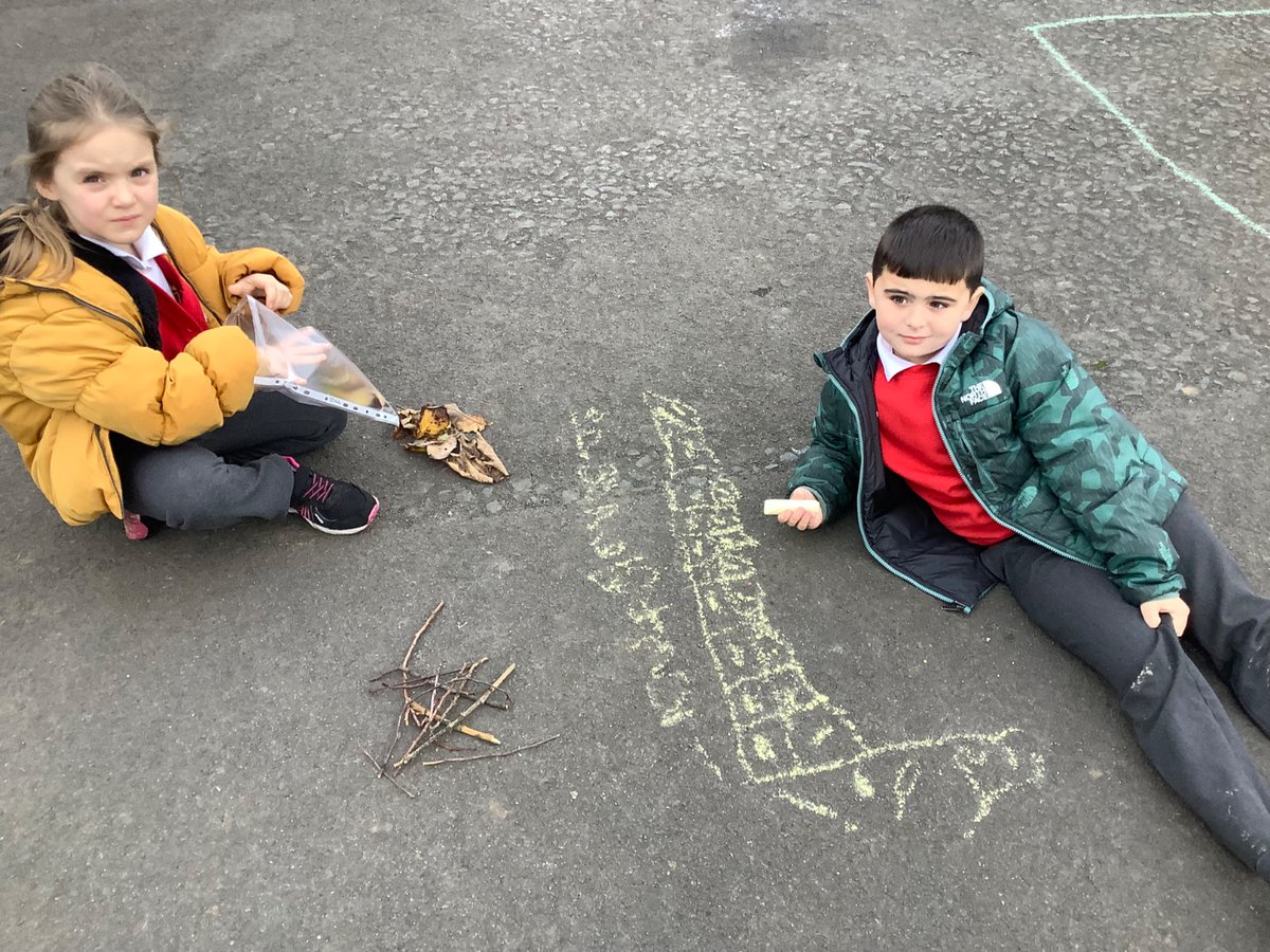 SaintAnthonysPS's tweet image. P3 bar graphing outdoors #HandlingData  #NatureLearning