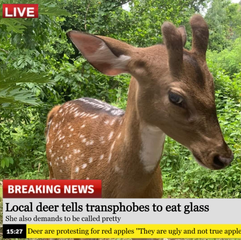 transgendeer (@ciervatonta) on Twitter photo 