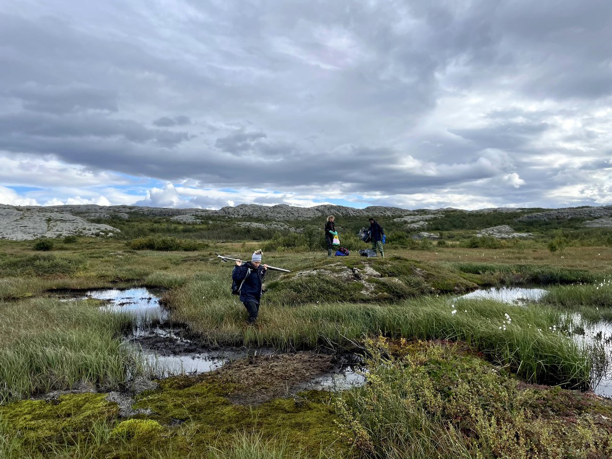 PYRN_official's tweet photo. It’s #PYRNFieldworkFriday 🎉

Check out the fieldwork of Charlotte Haugk (@charlottehaugk), PhD student at Stockholm University, who collected soil cores in Northern Finland and Sweden to study mercury across a thaw gradient! 

To be featured next: 🔗 https://t.co/RBV56kKFRv https://t.co/REBZgMBhWY
