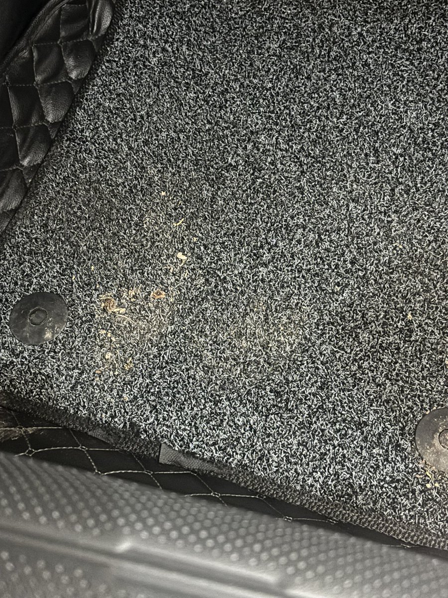 faultedstar03's tweet photo. @KiaInd just got my car back from two day service in this condition. Your after sales service is pathetic and degrading experience for a luxury car owner.  Zero convenience with myconvenience prog. #kiaseltos #Kia #seltos would u identify this with your brand? Shame.. lift it up https://t.co/mCx2ydCdm0