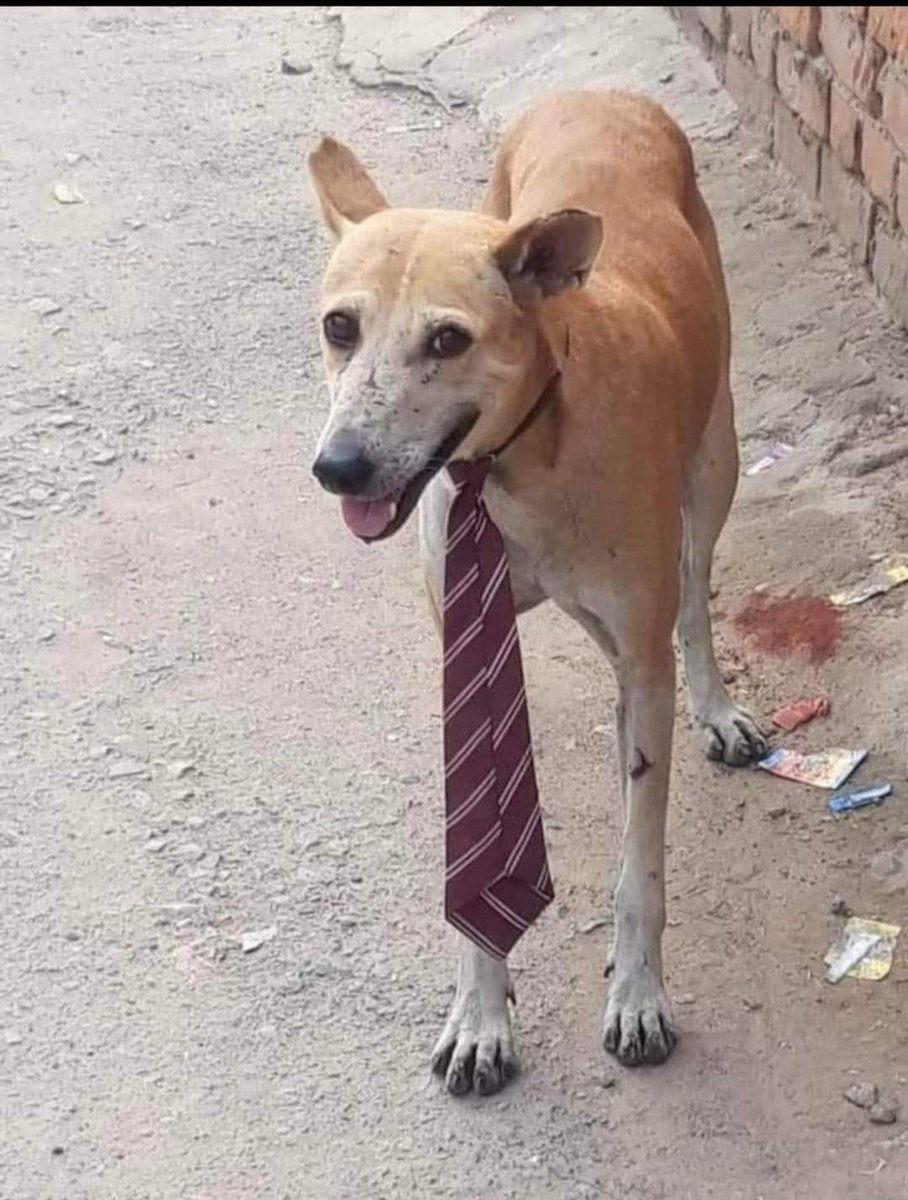 UpdateGallery7's tweet image. सुनने में आ रहा है कि,
इन्हें कोई बड़ा पद मिला है,