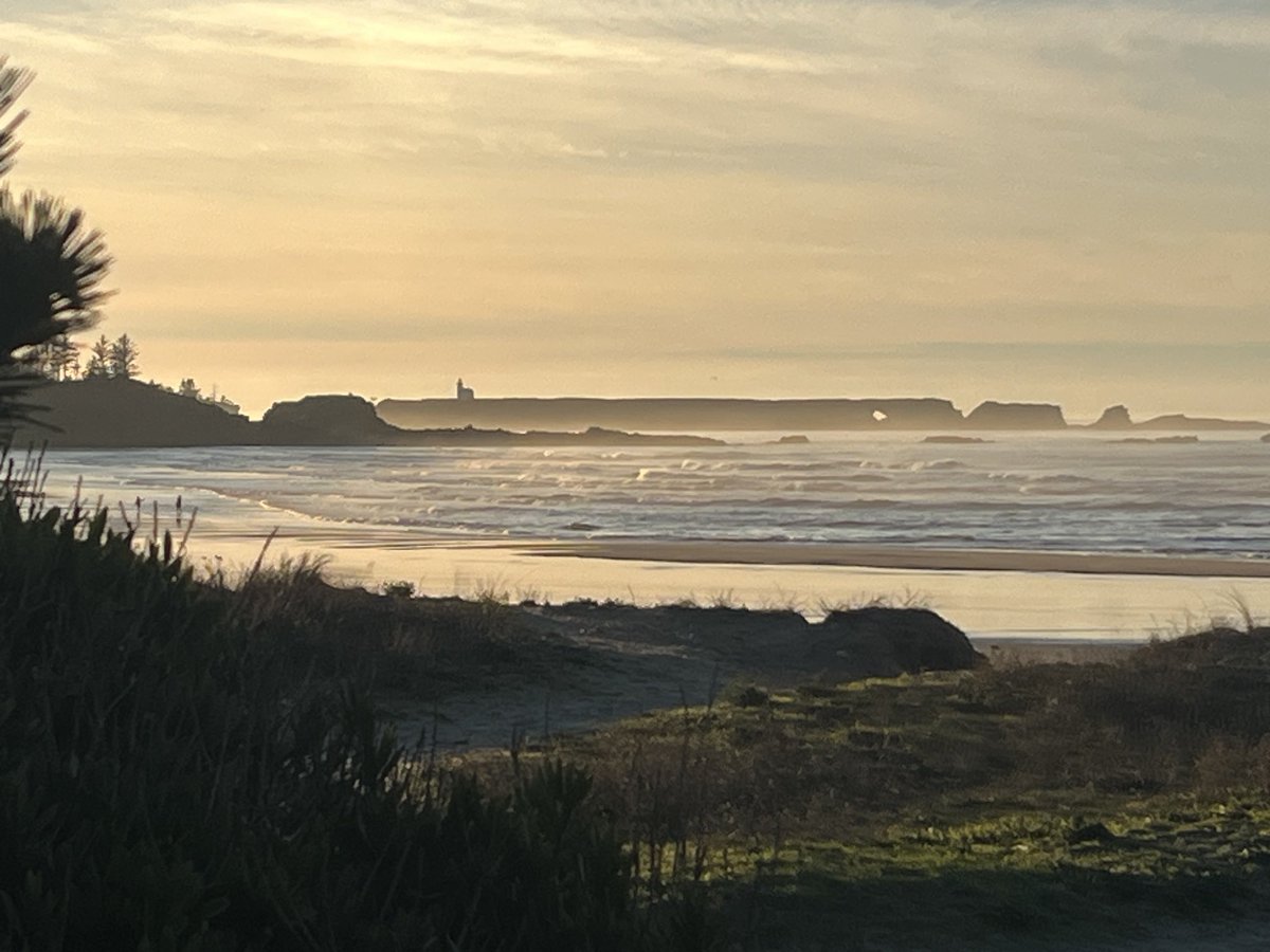 Job Alert! Are you enjoying Oregon at #WSN in Portland? OIMB, the Oregon Institute of Marine Biology (University of Oregon) in Coos Bay, is recruiting a new TTF Assistant Professor this fall! Due Dec 1. Come talk to me at WSN! Job ad link: careers.uoregon.edu/cw/en-us/job/5…
