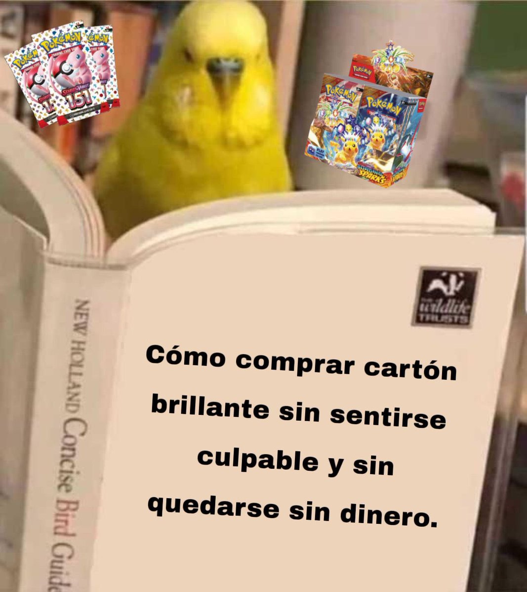 Aprovechando las ofertas que tenemos en la web mientras me voy a Japón a por más cartón brillante y exclusivo 😏