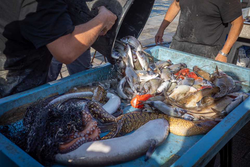 stephenhuenph's tweet photo. Morning fish market

#streetphotography #photography #marseille https://t.co/wE8B7zb2TR