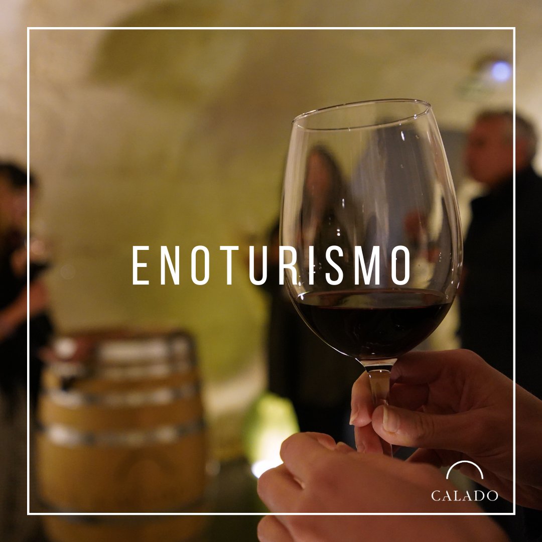 CriteriaGrupo's tweet image. 🌍🍇 ¡Hoy en #GrupoCriteria celebramos el Día del 𝐄𝐧𝐨𝐭𝐮𝐫𝐢𝐬𝐦𝐨! Un brindis por quienes exploran el vino en su origen, descubriendo sus secretos y conectando con la historia detrás de cada copa. @Calado 
#Criteria #Calado #enoturismo