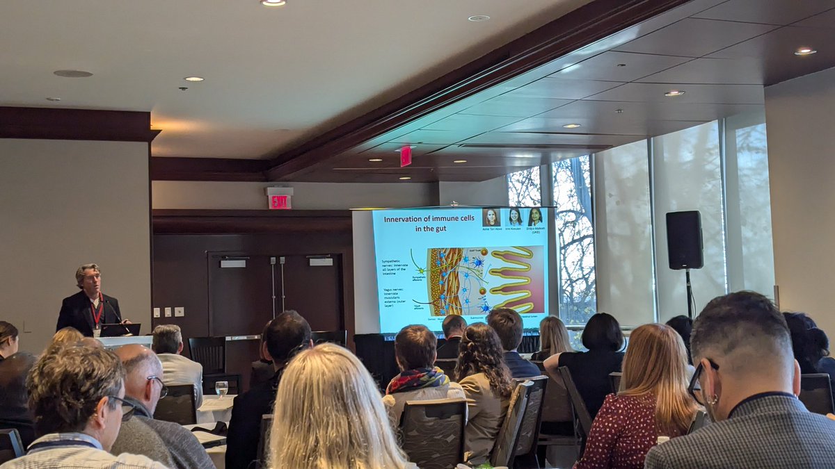 Dr. de Jonge from Amsterdam UMC shared how the nervous system could play a role in Crohn's and colitis through the gut-brain connection. Activating one part of the nervous system can reduce Crohn's and colitis symptoms. #gutbrainaxis #IBDMinds2024