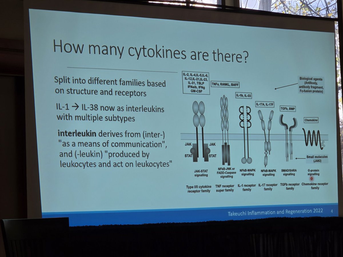 DrHArmstrong's tweet photo. 📢 phenomenal talk by @drdeannasanter on cytokine biology in #IBD
Involved in IBD pathogenesis in a variety of ways with many targeted by available therapies clinically
Similarities and differences between CD and UC
Many Canadian groups working in the field
#IBDminds2024 https://t.co/qw4ZlkUJwH