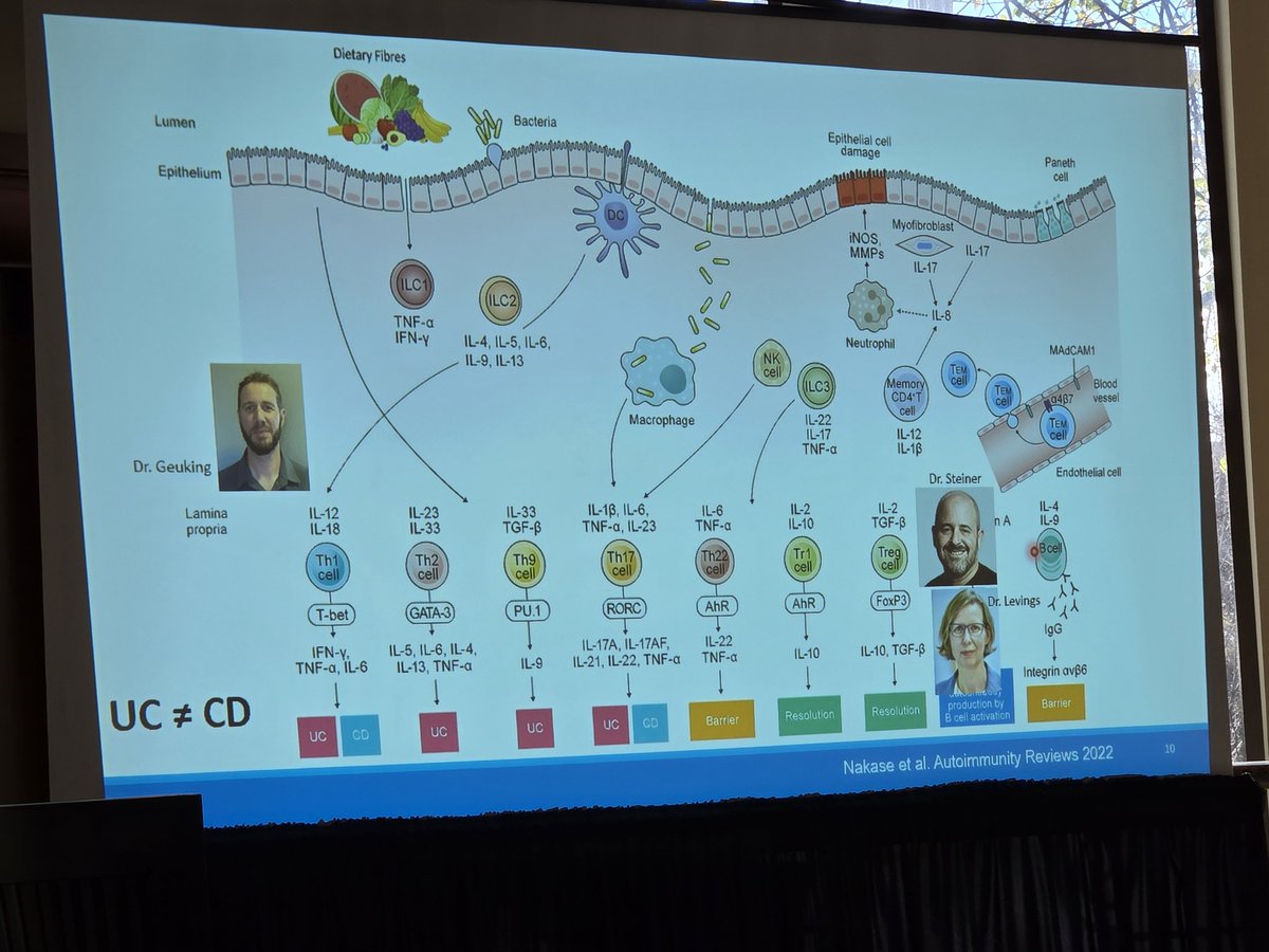 Dr. Heather Armstrong (@drharmstrong) on Twitter photo 📢 phenomenal talk by <a href="/drdeannasanter/">Dr. Deanna Santer</a> on cytokine biology in #IBD
Involved in IBD pathogenesis in a variety of ways with many targeted by available therapies clinically
Similarities and differences between CD and UC
Many Canadian groups working in the field
#IBDminds2024 📢 phenomenal talk by <a href="/drdeannasanter/">Dr. Deanna Santer</a> on cytokine biology in #IBD
Involved in IBD pathogenesis in a variety of ways with many targeted by available therapies clinically
Similarities and differences between CD and UC
Many Canadian groups working in the field
#IBDminds2024