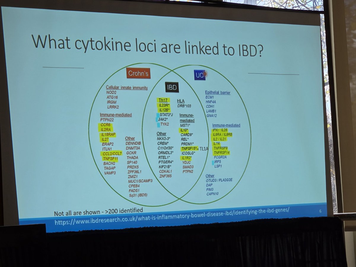 DrHArmstrong's tweet photo. 📢 phenomenal talk by @drdeannasanter on cytokine biology in #IBD
Involved in IBD pathogenesis in a variety of ways with many targeted by available therapies clinically
Similarities and differences between CD and UC
Many Canadian groups working in the field
#IBDminds2024 https://t.co/qw4ZlkUJwH