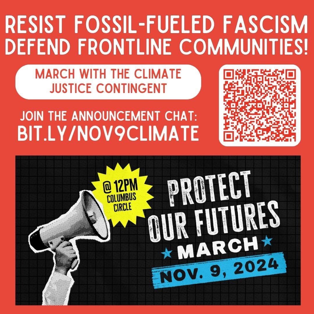 Fridays For Future NYC tweet media