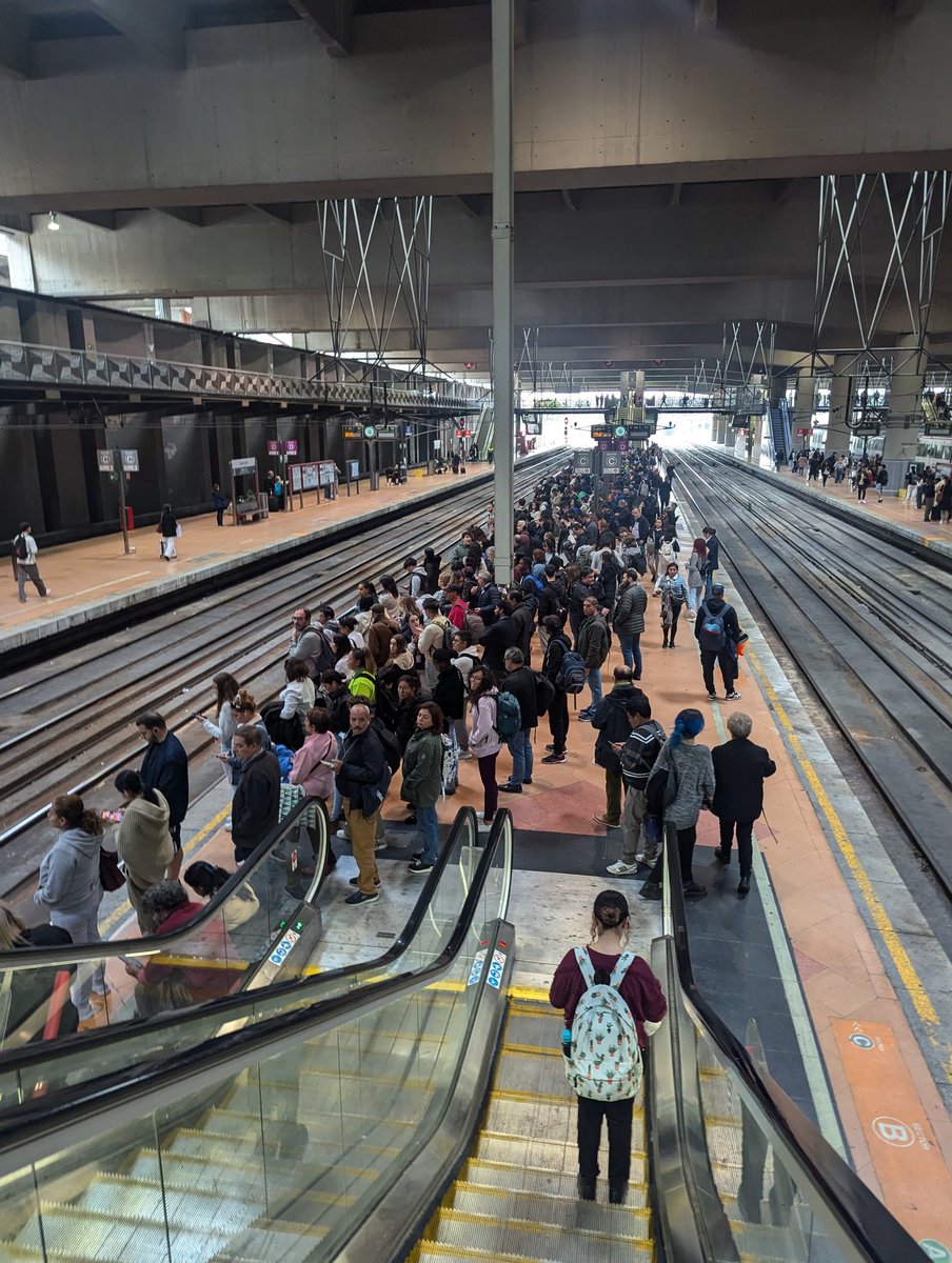 Diegorrino's tweet photo. @CercaniasMadrid @CercaniasAvisos uso poco el cercanias gracias a Dios, pero para variar, los andenes medio vacios y el de las lineas c2 c c7 (Alcalá H- Guadalajara) a reventar. Ni cotiza el tan siquiera pensar en aumentar la frecuencia, o al menos respetarla, cierto? https://t.co/Gu6Pipunrf
