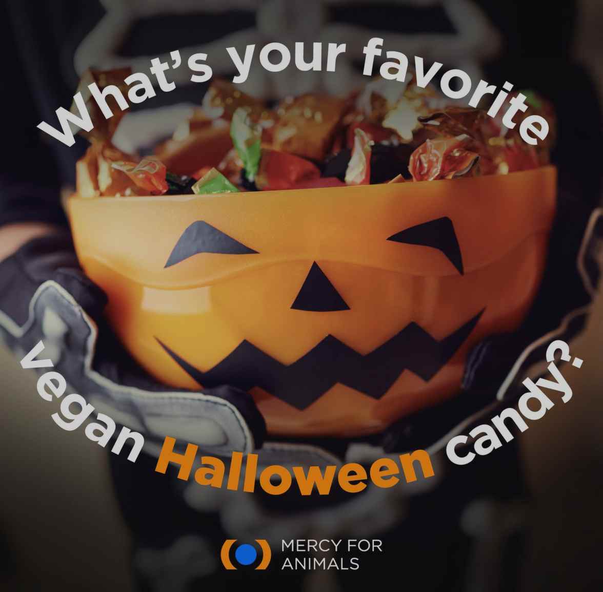 What’s happening in the world of Roseli Althoff?