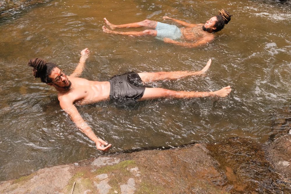 coryvanlew's tweet image. This past year we did some deep roots healing ❤️‍🩹