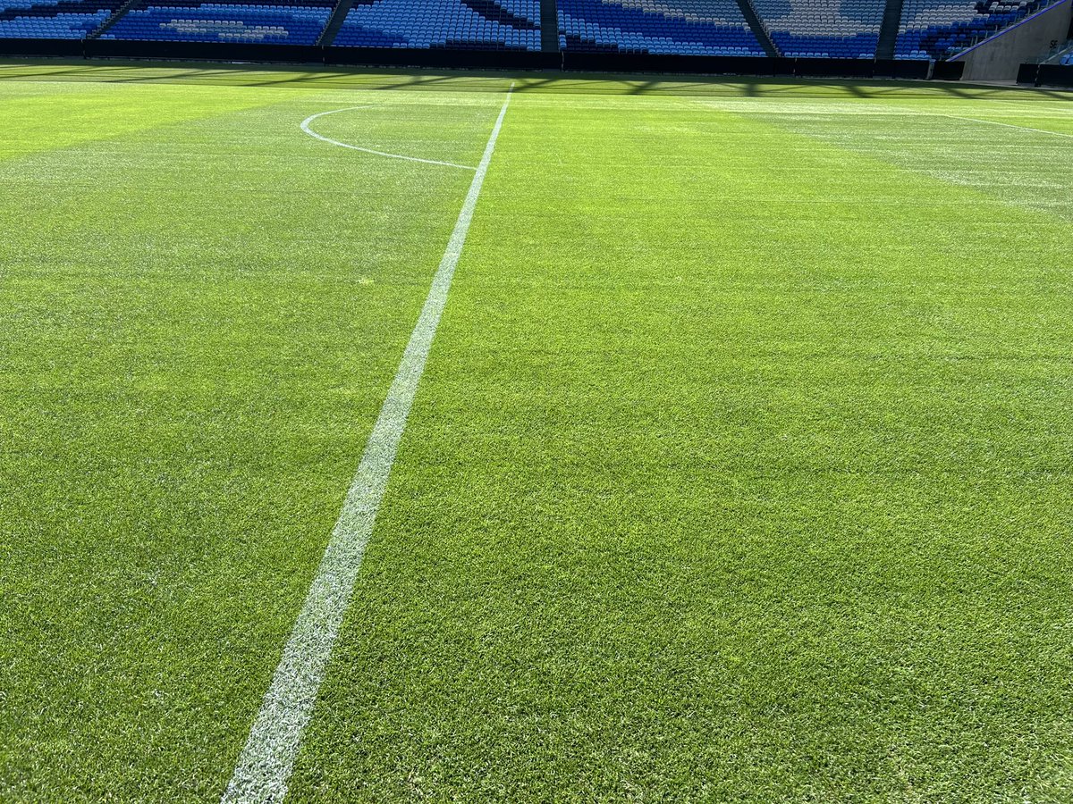 WinsteadMatrix's tweet photo. Check out the pics sent from Evergreen Turf of Matrix, 2 days after installation @AllianzStadium featuring @Tahoma31Bermuda. 10,000m2 (2.47 acres) of ready-to-play perfection. Big thanks to our amazing partners in Sydney, Australia! #ReadyToPlayTurf #💯SandBase #SodOnPlastic https://t.co/U97yVxcXV5